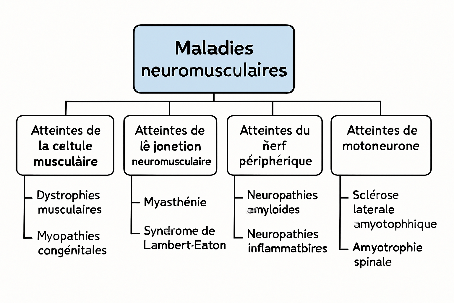 découvrez les principales maladies des muscles et des nerfs : symptômes, causes, traitements et conseils pour mieux vivre avec ces affections neuromusculaires.